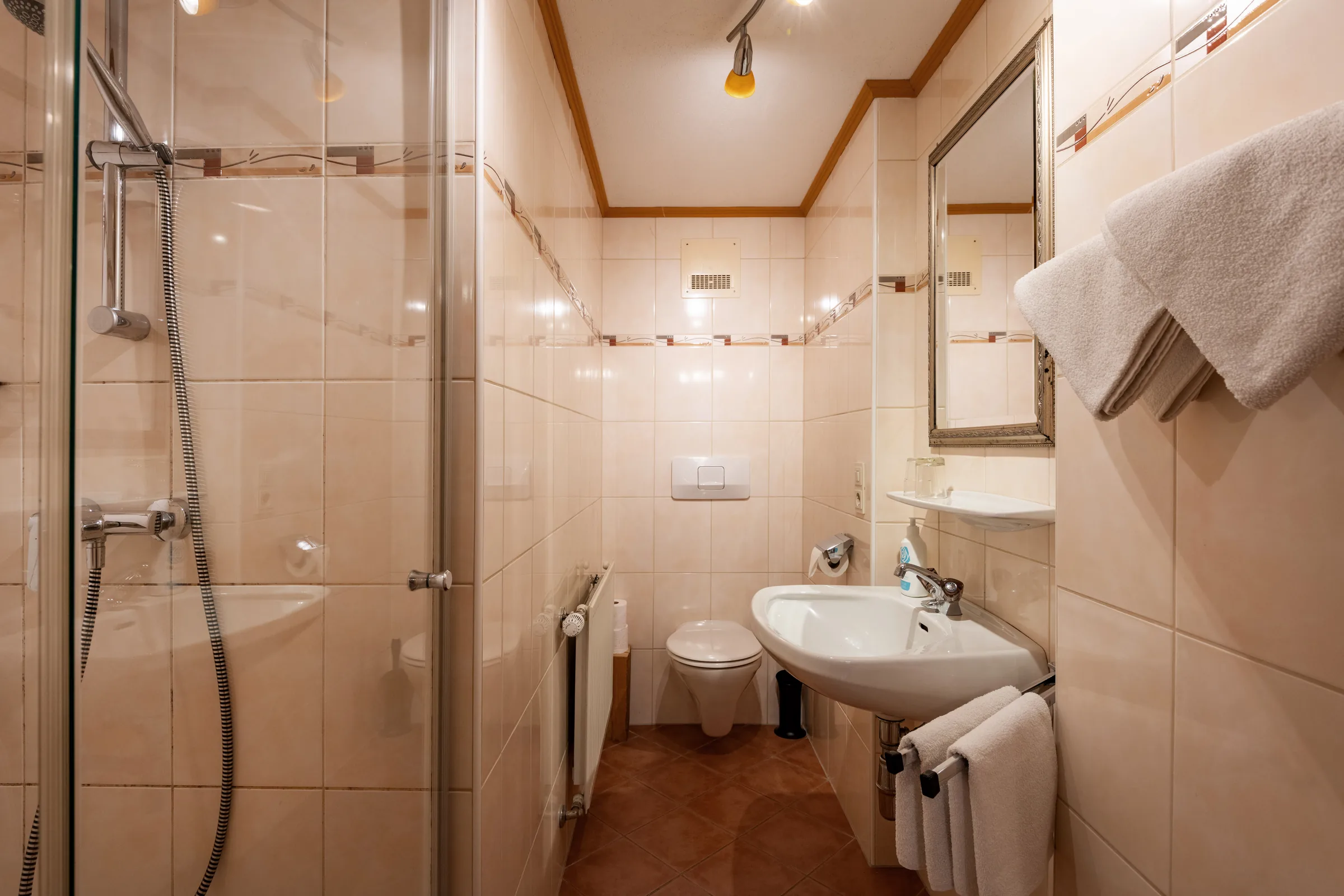 Eigenes Bad mit Glas-Duschkabine, WC und Waschbecken, Appartement Niederkaiser am Bauernhof Oberlacken.