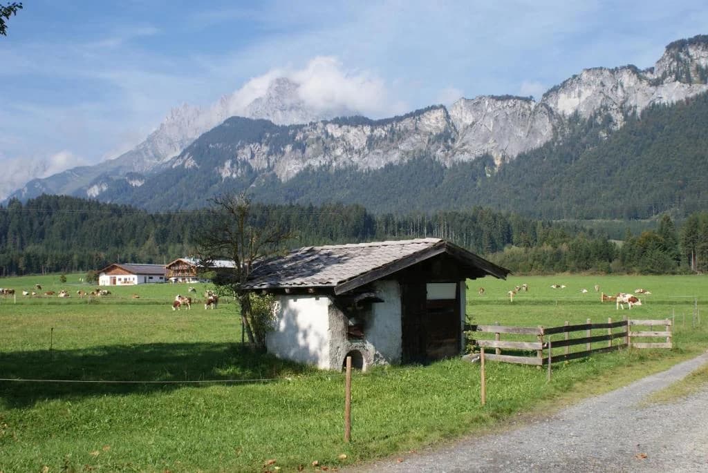Blick auf den Wilden Kaiser aus dem Tal rund um den Bauernhof Oberlacken in Sankt Johann in Tirol.